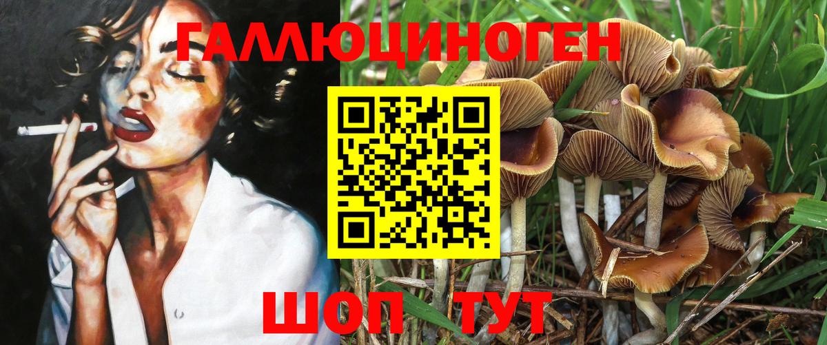 Галлюциногенные грибы MAGIC MUSHROOMS  Вход с VPN  магазин    Горячий Ключ 